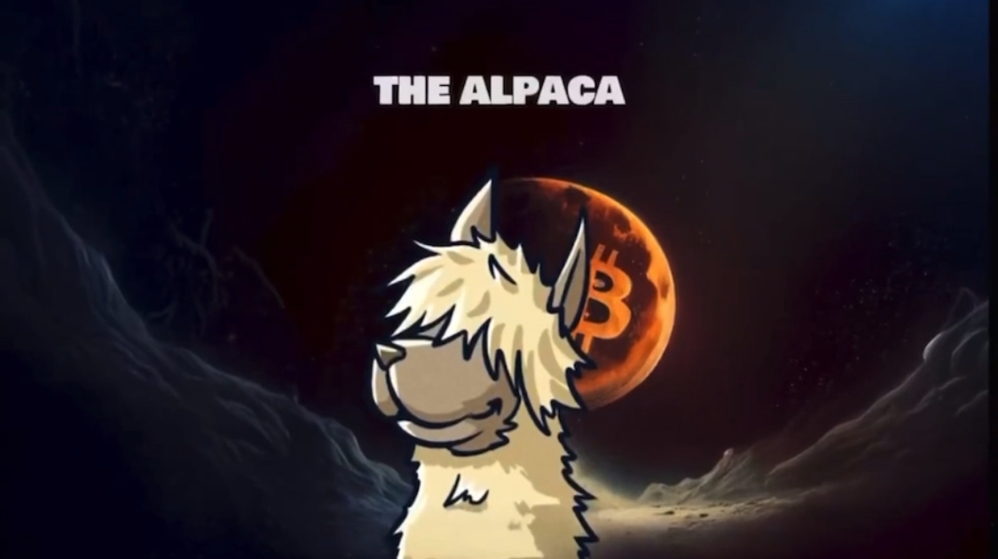 Clip Intro