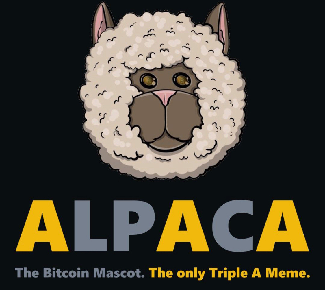 Alpaca 5