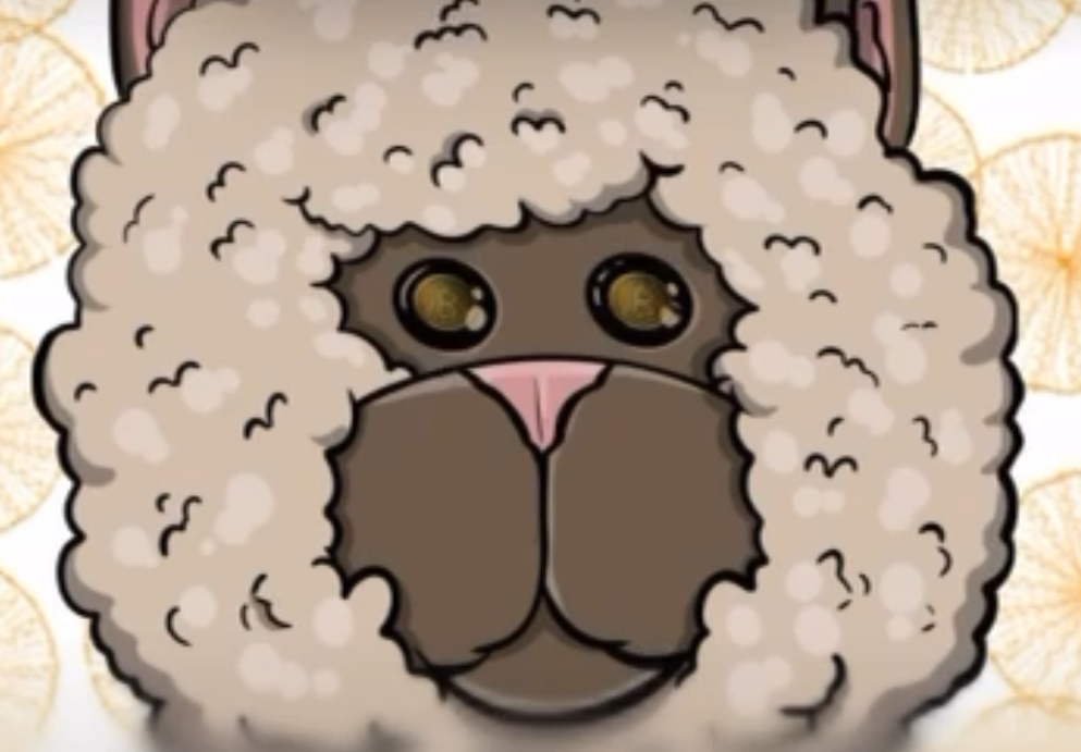 Alpaca 1