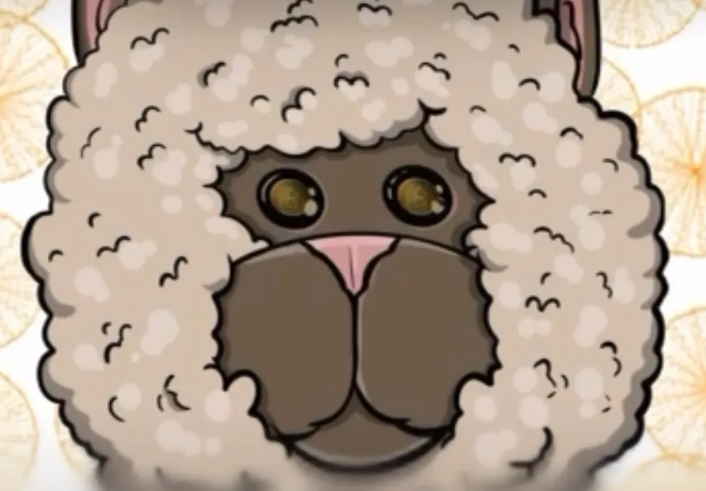 Alpaca 1