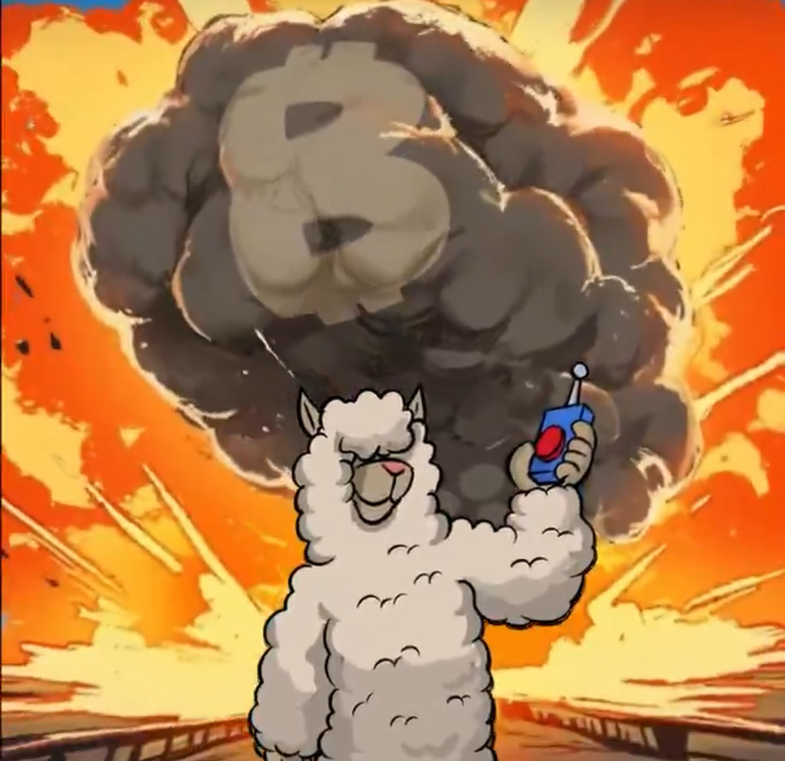 Alpaca 12