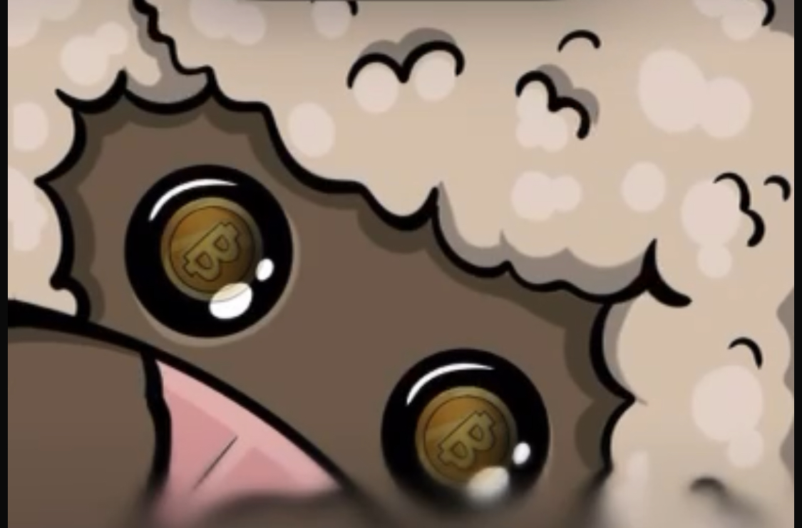 Alpaca 2