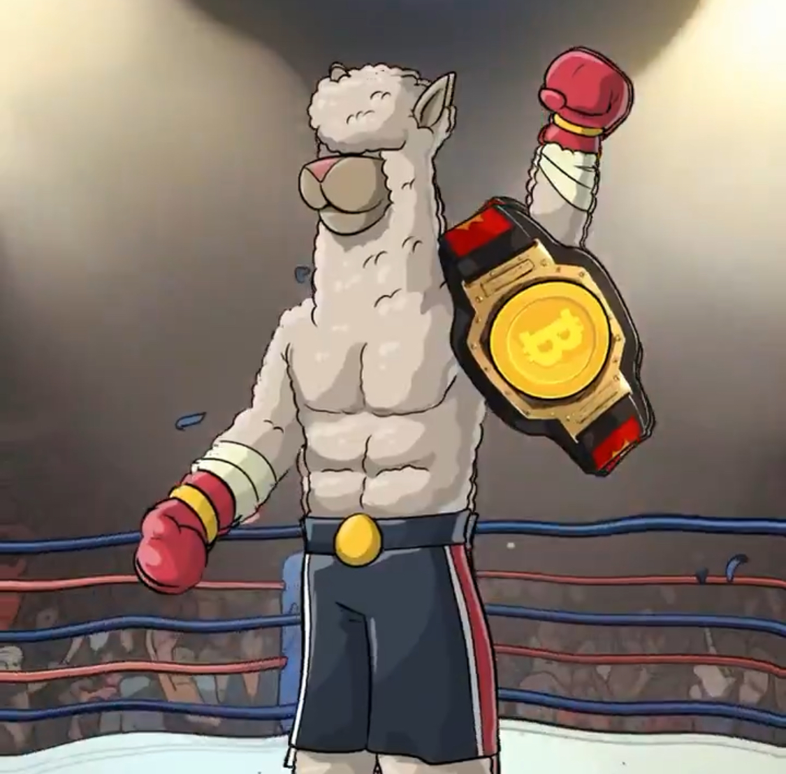Alpaca 7